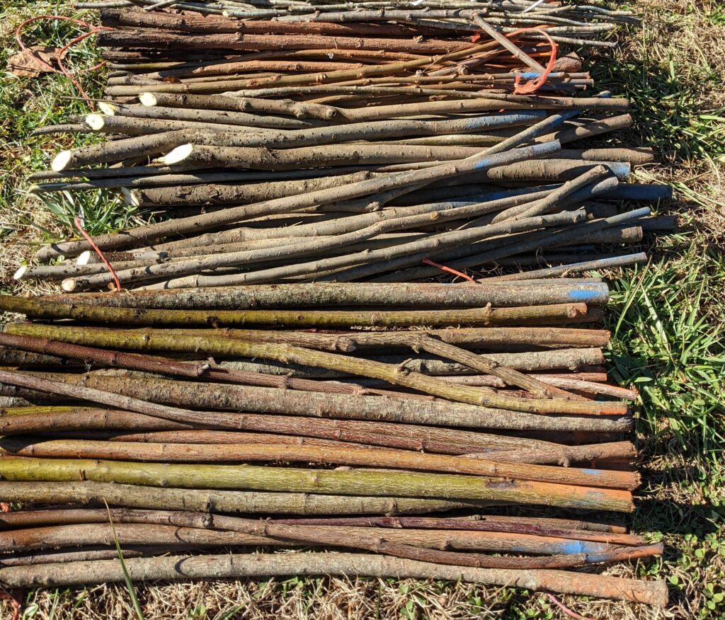 Live Stakes – Riparian Mix