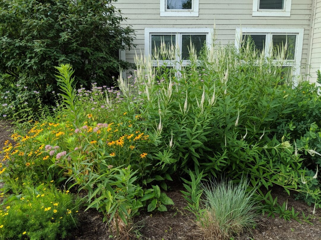 Living with Lake Erie as Your Neighbor: Lawncare & Landscaping for Lake Erie