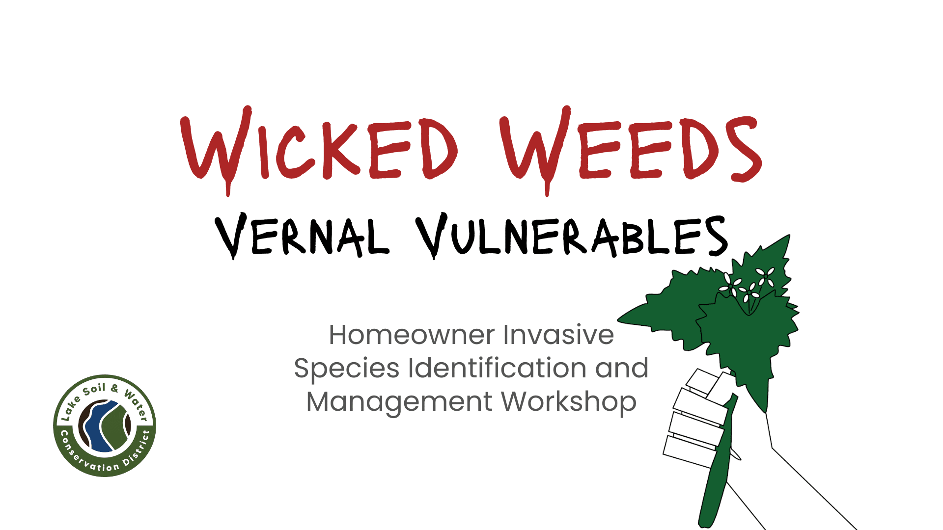 Wicked Weeds Vernal Vulnerables